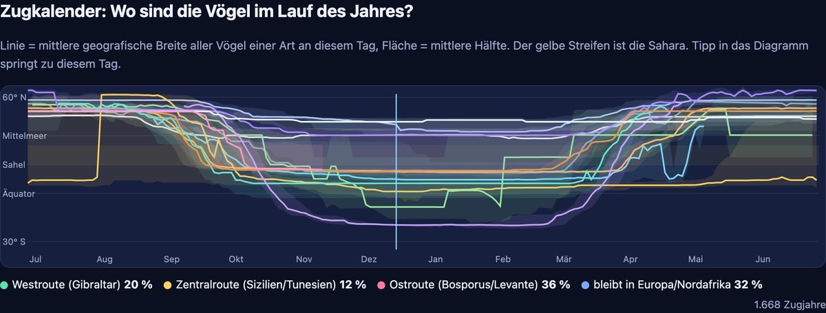 Zugkalender-Diagramm: mittlere geografische Breite je Art von Juli bis Juni, Linien sinken ab September unter die Sahara und steigen im März wieder auf
